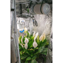 Abluft Ventilator für Indoor Farming und Growzelt