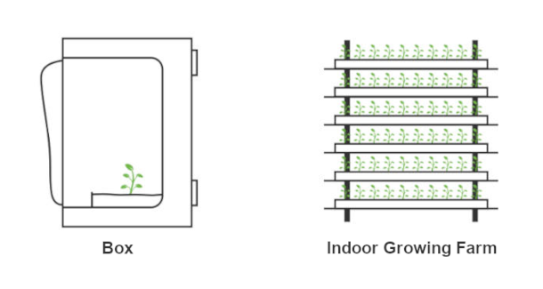 Indoor Growing Farm Grafik