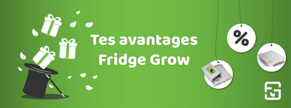 Tes avantages fridge grow