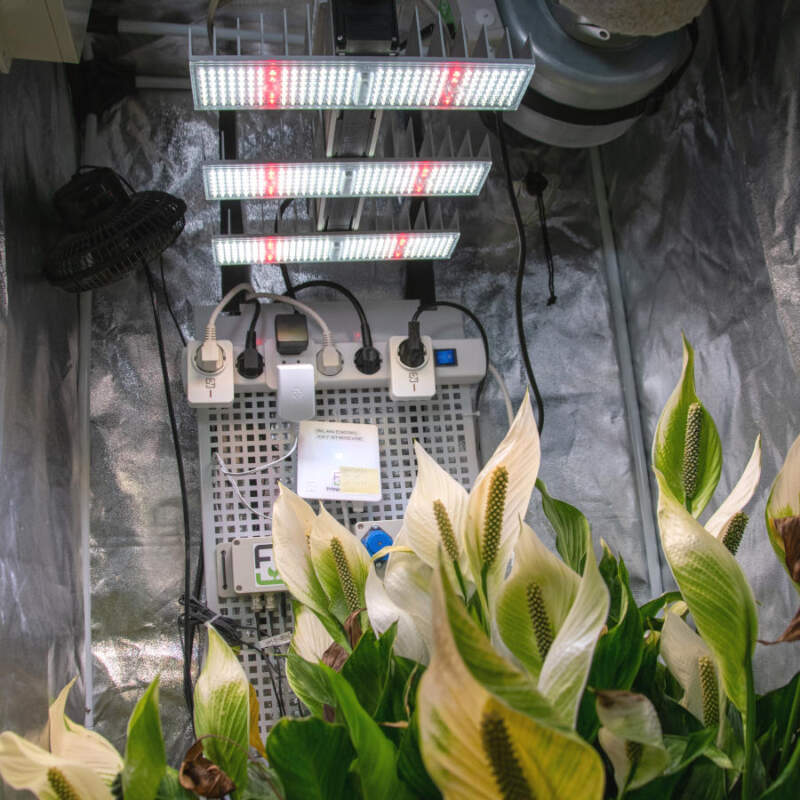 SANlight Pflanzenlampe im Set mit Dimmbox von Flexo Grow
